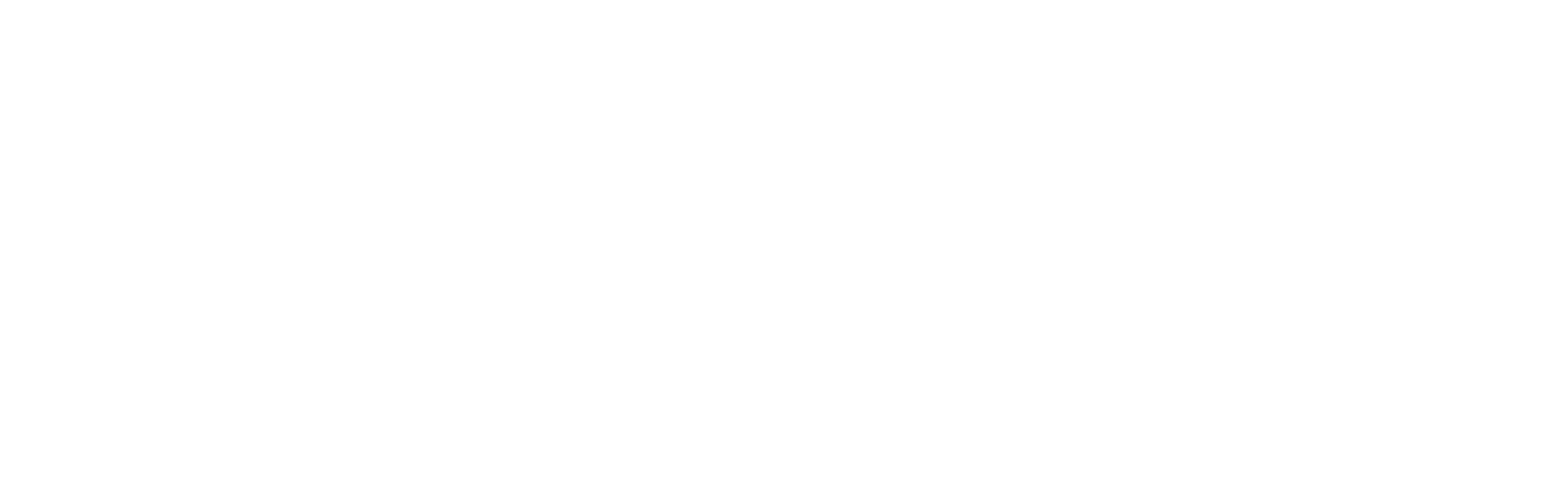 HOZINT | Horizon Intelligence